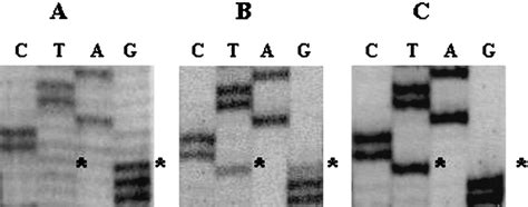 Analysis Of Btk Mutations In Patients With Xlinked Agammaglobulinaemia