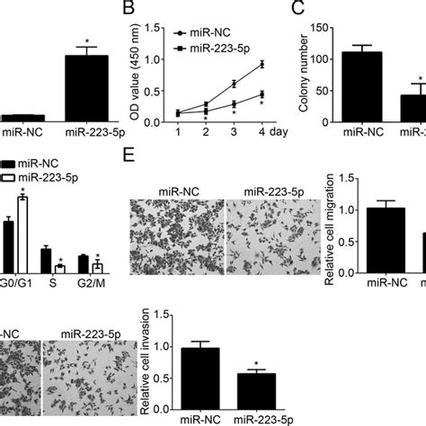 Mir P Impaired The Proliferation Migration And Invasion Of Nsclc