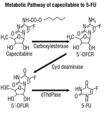 Capecitabine - FDA prescribing information, side effects and uses