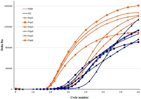 Amplification Plot Obtained During Multiplex Real Time PCR On DNA Of