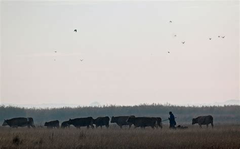 Hortobágyi Nemzeti Park Természetvédelem