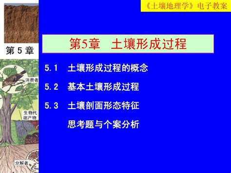 《土壤地理学》第5章 土壤形成过程word文档在线阅读与下载无忧文档