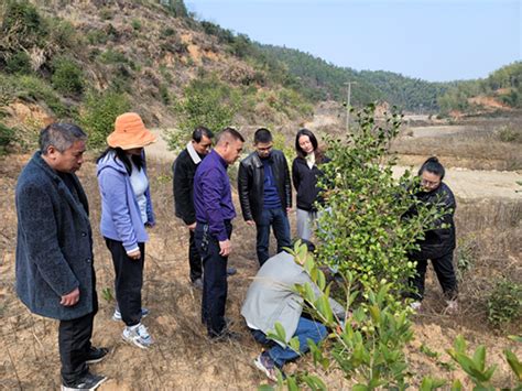 抚州机关党建 打造让党放心、人民满意的模范机关 【打造模范机关（二十四）】市林业局：党旗引领 林业建功