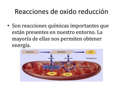 Oxido Reduccion