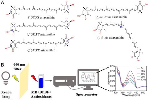 Differences Found In Antioxidant Activities Of Astaxanthin Isomers