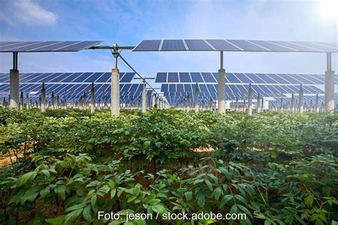 Bayernwerk Baut Agri PV Anlage Mit Gemeinde Burgebrach Solarserver