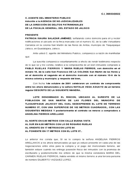 Declaracion De Testigo Delito De Despojo Patricia Isaura Salazar