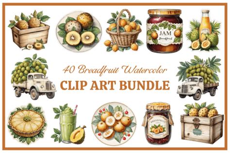 Breadfruit Watercolor Clip Art Bundle Graphic By Jugo S Universe