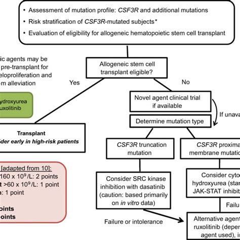 The diagnosis and management algorithm for chronic neutrophilic ...