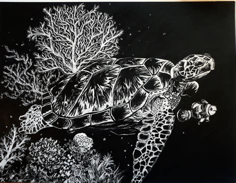 Turtle Scratchboard By Artsyfartsyness On Deviantart