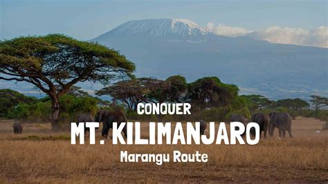 Kilimanjaro Climbing 2024 | A complete guide & available routes ...