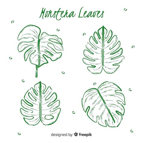 Printable Monstera Leaf Printable Word Searches Off