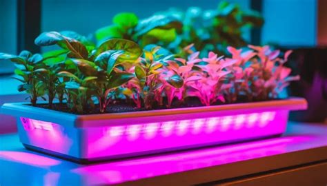 The Best Led Grow Light Strips For Boosting Indoor Plant Growth South Elmonte Hydroponics