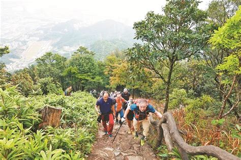 “深圳十峰”全民登山活动两年超过33万人次打卡 “5·23”我爱山 深圳人一起来说“我 爱 山”深圳市新浪新闻