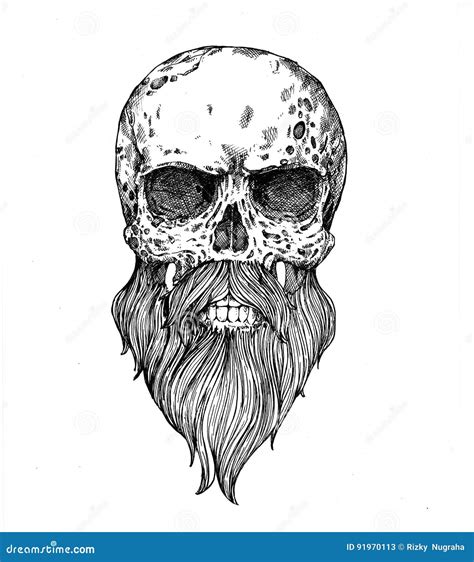 Bearded Skull Illustration Cartoon Vector Cartoondealer