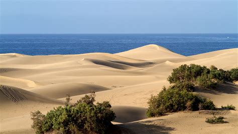 Gay Urlaub Auf Gran Canaria Schwuler Urlaub