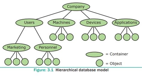 Introduction To Database Management System Dbms Concepts Evolution