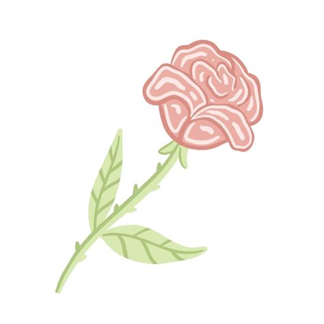 Ilustraci N Vectorial De Una Flor Rosa Dibujada A Mano Aislada En Un