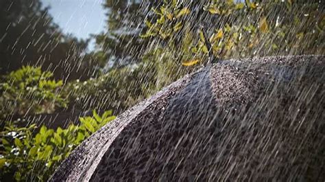 Intense Rainfall And Thunderstorms Expected In Pakistan Until April