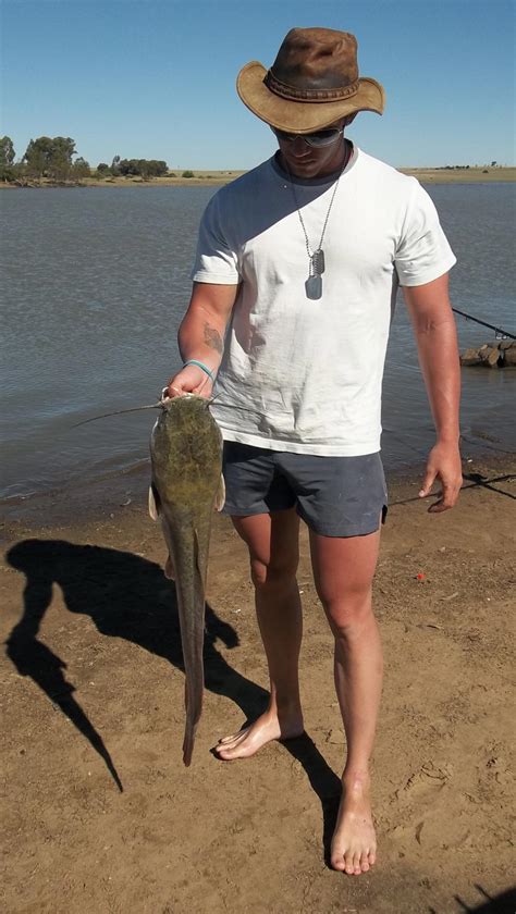 Pictures And Photographs Of The South African Barbel Sharptooth Catfish