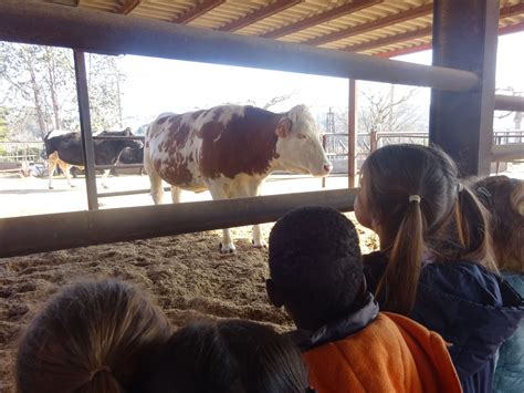 Sortida Granja Escola Les Arenes