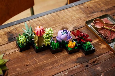 Add Some Green to Your Home With These LEGO Orchids and Succulents