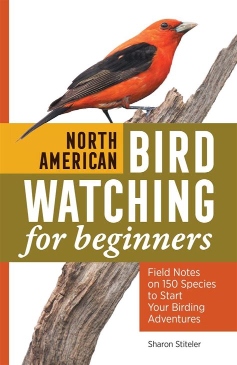 North American Bird Watching For Beginners Field Notes On 150 Species