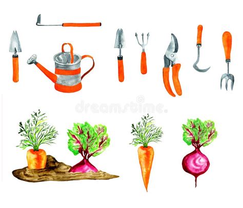 Watercolor Garden Tools for Agriculture Stock Image - Image of farm ...