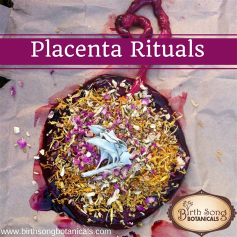 placenta print painting happy  trees  life