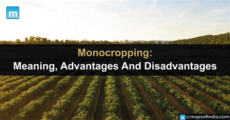 Monocropping Meaning Advantages And Disadvantages Agriculture