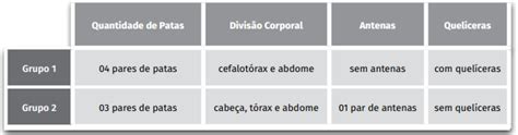 Etec Em Um Jardim Um Grupo De Estudantes Coletou Alguns Animais