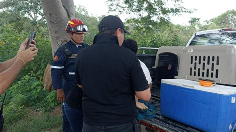 ÚLTIMO MOMENTO Lionel Álvarez es LOCALIZADO tras haber desaparecido