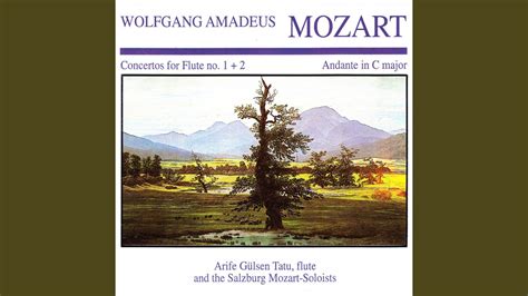 Concerto In D Major For Flute And Orchestra No 2 K 314 I Allegro