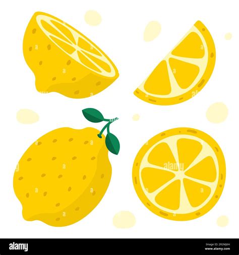 Hand Drawn Lemon Half Of Lemon Slice Colorful Flat Style Vector