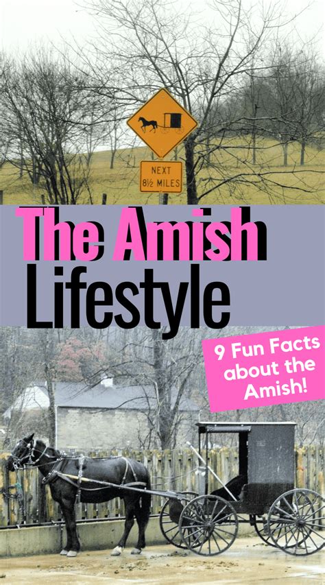 Things I Learned About The Amish Culture - Idie's Farm