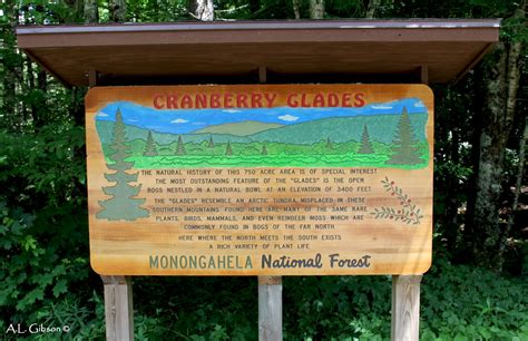 The Buckeye Botanist Cranberry Glades Botanical Area Of West Virginia