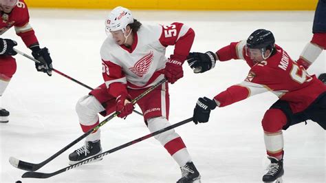 Nhl Seider Feiert Mit Red Wings Ein Fulminantes Comeback