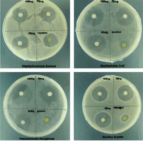 The Antibacterial Activity By Disc Diffusion Assay Using Ethanolic