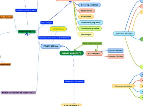 Medio Ambiente Mind Map