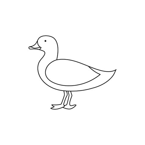 Premium Vector Single Continuous Line Drawing Duck Vector Illustration