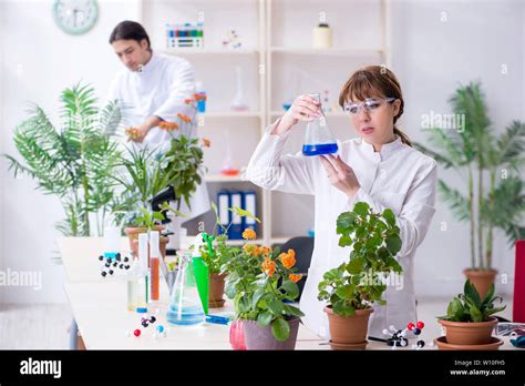 The two young botanist working in the lab Stock Photo - Alamy
