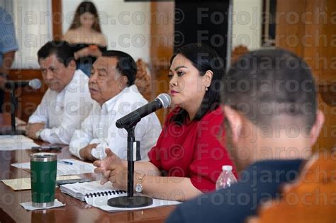 Agencia Fotojarocha Aprueba Cabildo Proyecto De La Ley De