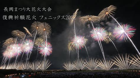 Fireworks Are Lit Up In The Night Sky