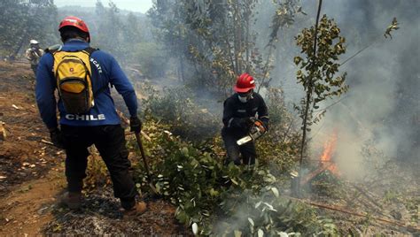 Quilpué Sigue En Alerta Roja Por Incendios Forestales Más De 65