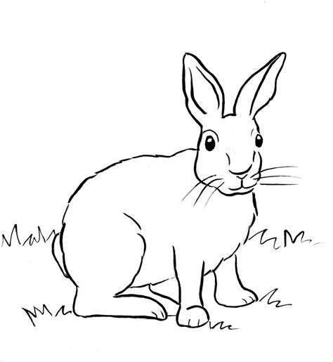 Bunny Rabbit Printables