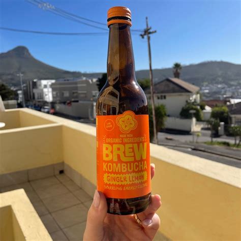 Brew Kombucha Ginger Lemon Reviews Abillion