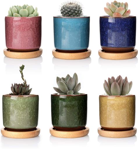 T4U 6cm Pots de Plantes en Céramique Zisha avec Plateau en Bambou