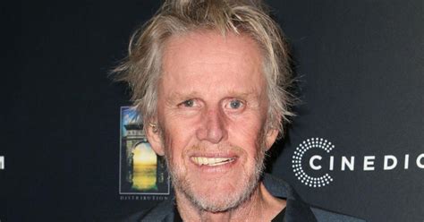 Gary Busey Pleads Guilty To Sex Crimes Charge After Convention Assault