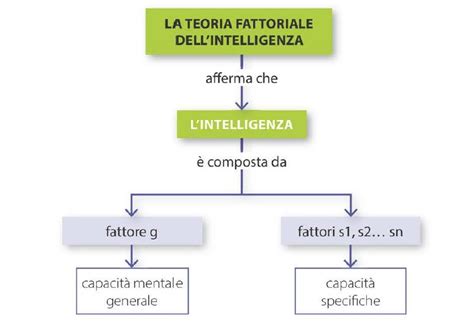 Spearman E La Teoria Fattoriale Dell Intelligenza Psiche