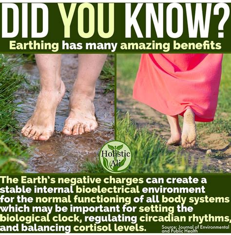 Have You Heard Of Earthing Why You Need To Try It Artofit